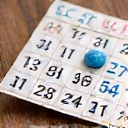 Bingo Bonanza icon